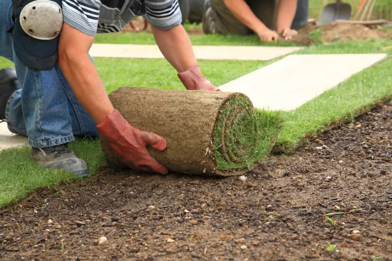 How Long After Installing Sod Can You Walk On It Roanoke, VA