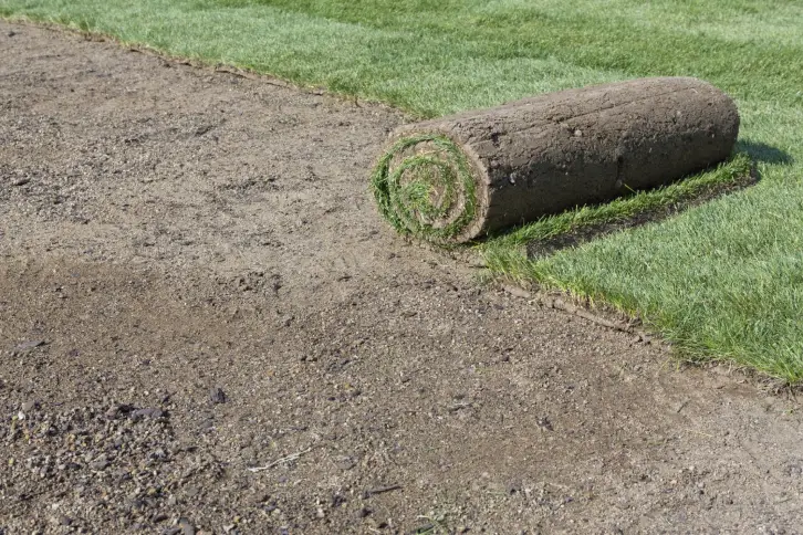 How Long After Installing Sod Can You Walk On It in Roanoke, VA