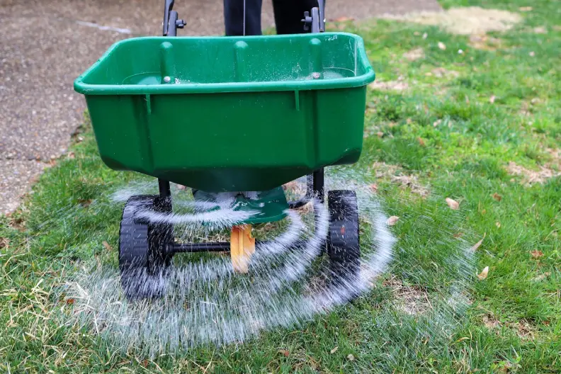 How Often Should You Fertilize Your Lawn in Roanoke, VA