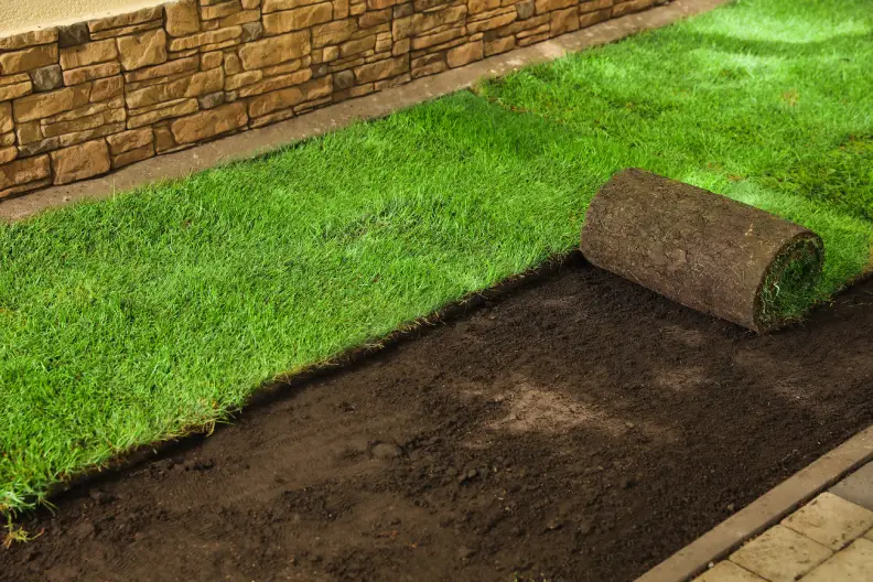 How to Lay Sod Over Existing Lawn Roanoke, VA