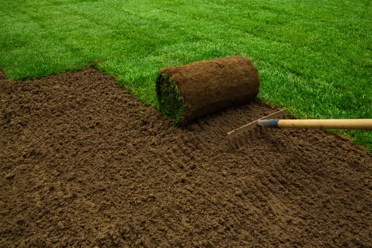 How to Lay Sod Over Existing Lawn in Roanoke, VA