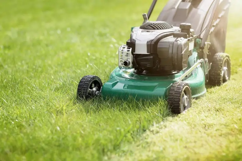 How to Mow a Lawn in Roanoke, VA