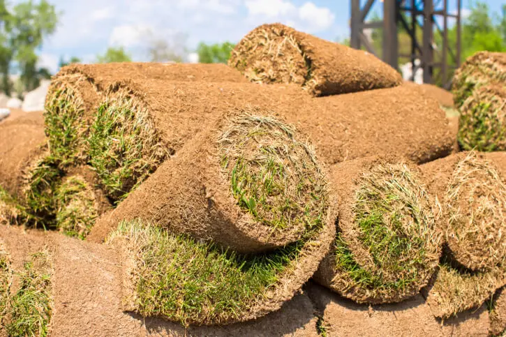 Sod Installation in Roanoke, VA - Landscaper