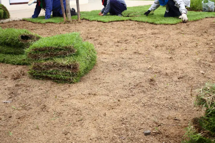 Sod Installation in Roanoke, VA