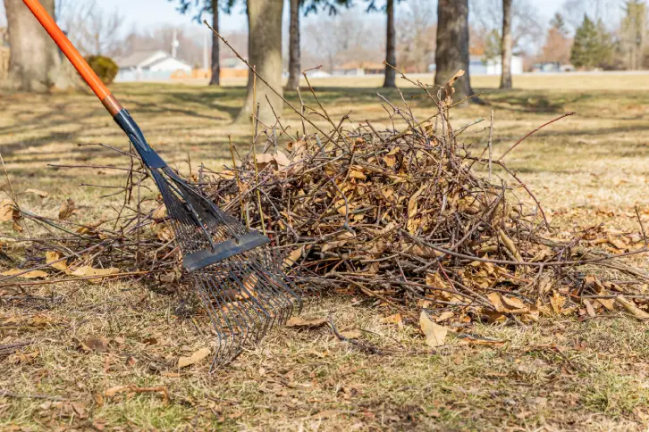 Yard Cleanup in Roanoke, VA - Landscaper