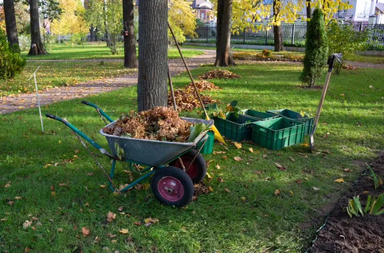 Yard Cleanup in Roanoke, VA